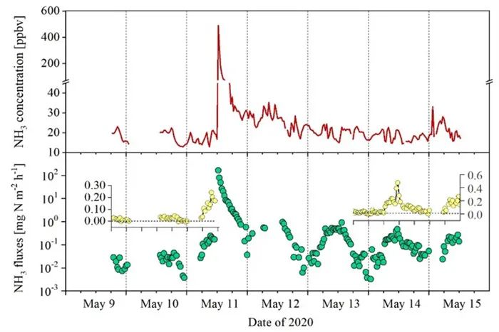 图3 亚热带稻田施肥期间观测的大气氨浓度和地面氨排放通量