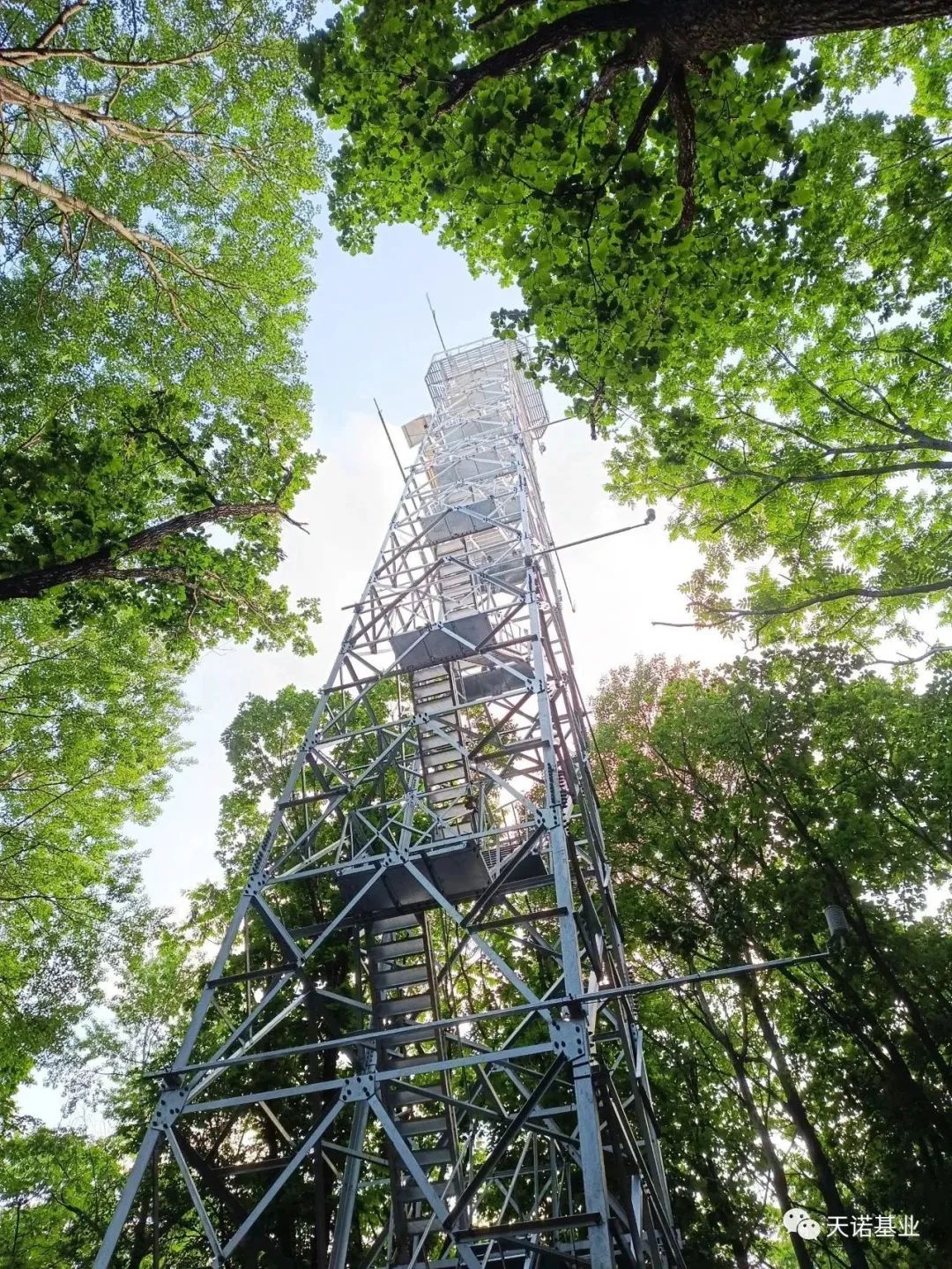 标准气象观测站和森林通量观测塔